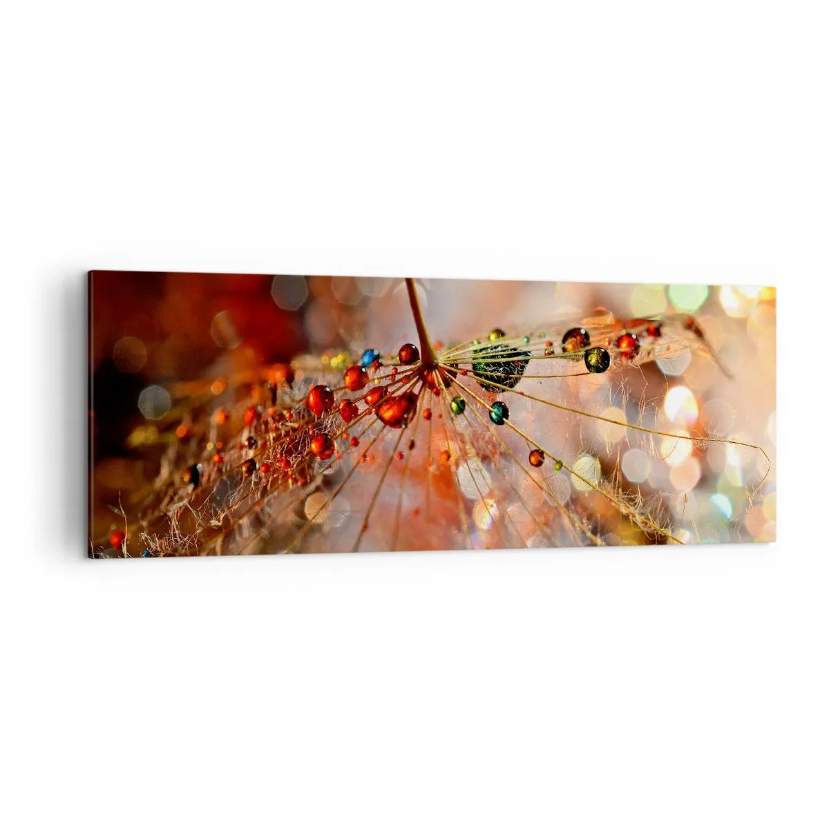 Quadro em tela - Enroscado numa teia de aranha - 140x50 cm