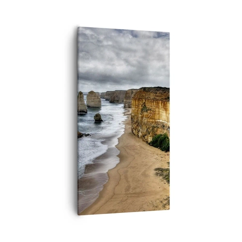 Quadro em tela - Beleza crua - 55x100 cm