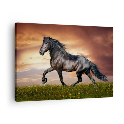 Quadro em tela - Um cavalo preto galopando contra o pôr do sol - 70x50cm - O Príncipe Negro - Decoração de parede moderna para a sala de estar e quarto ARTTOR