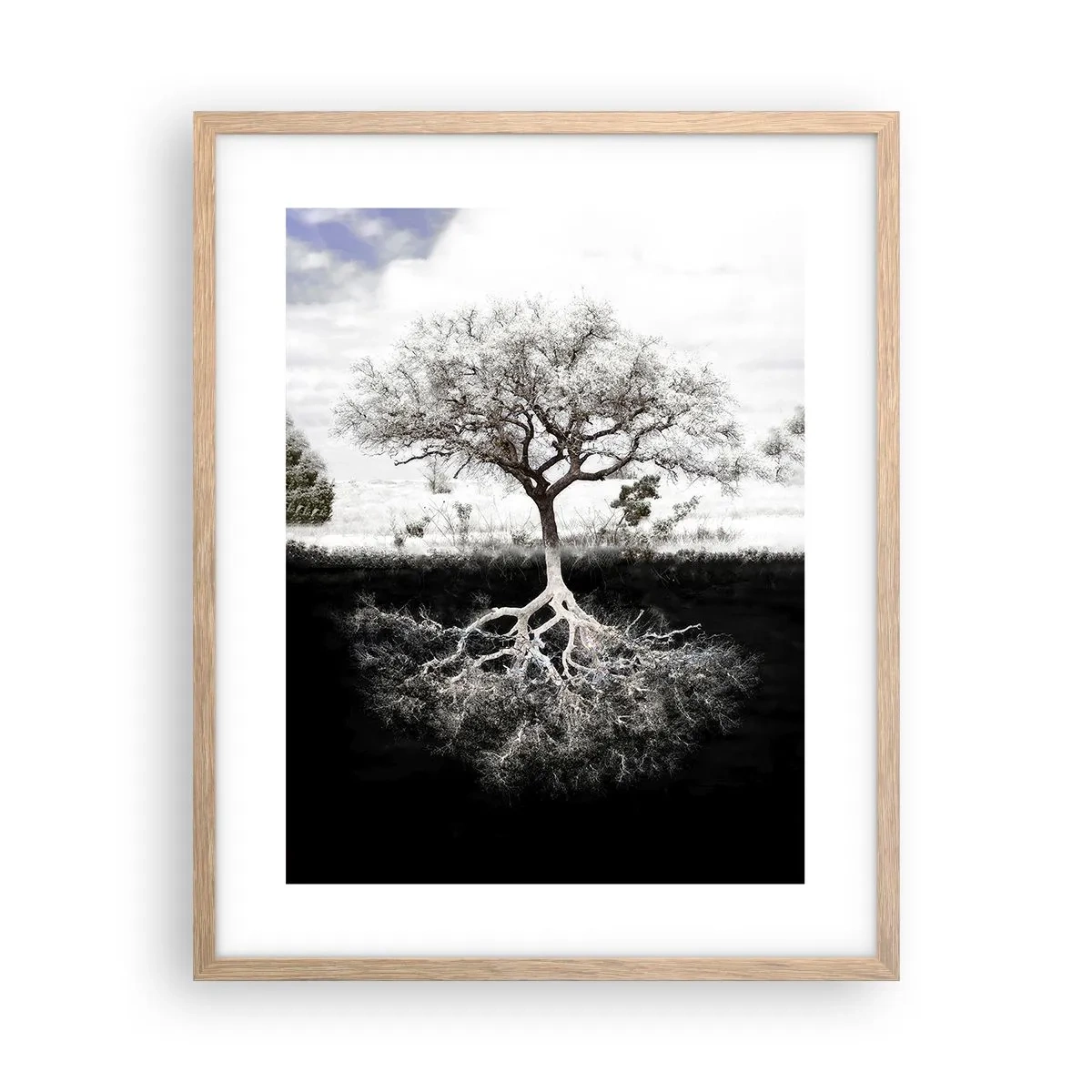 Pôster com moldura de carvalho claro - Descobrir a natureza do mundo - 40x50 cm