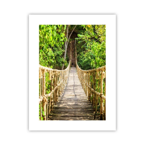 Pôster - Suspenso na vegetação - 30x40 cm