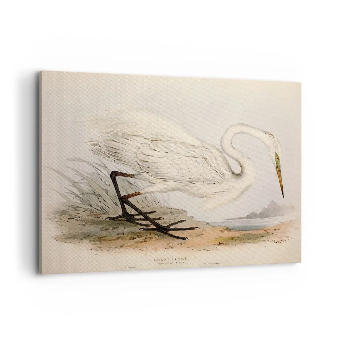 Quadro em tela - A senhora nos juncos - 100x70 cm