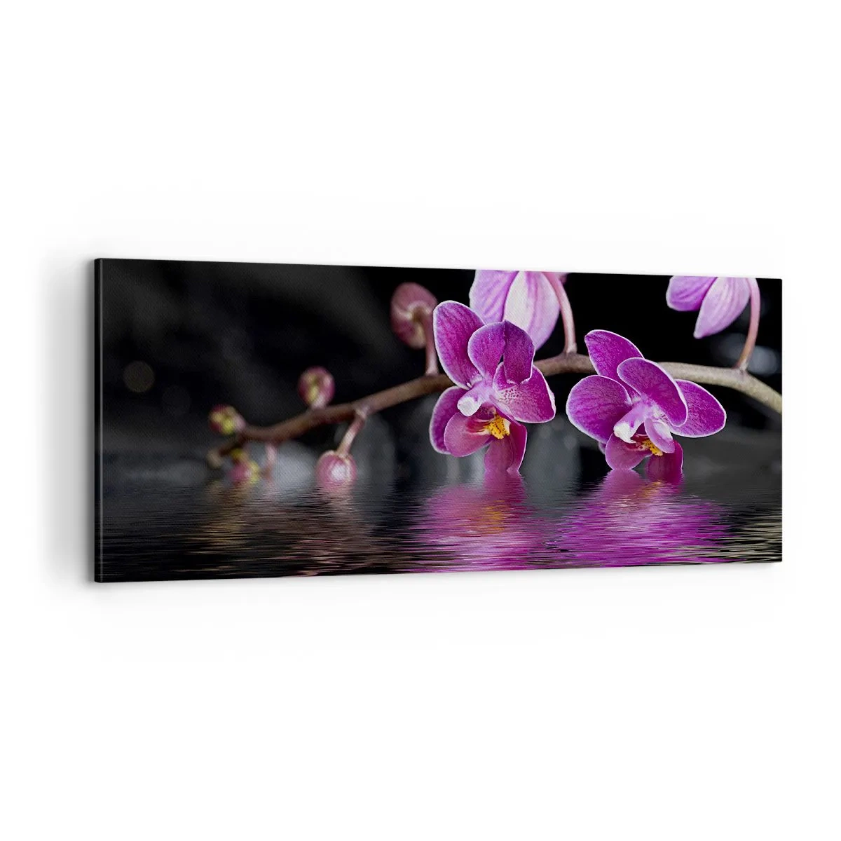 Quadro em tela - Reflexo lilás da beleza - 100x40 cm