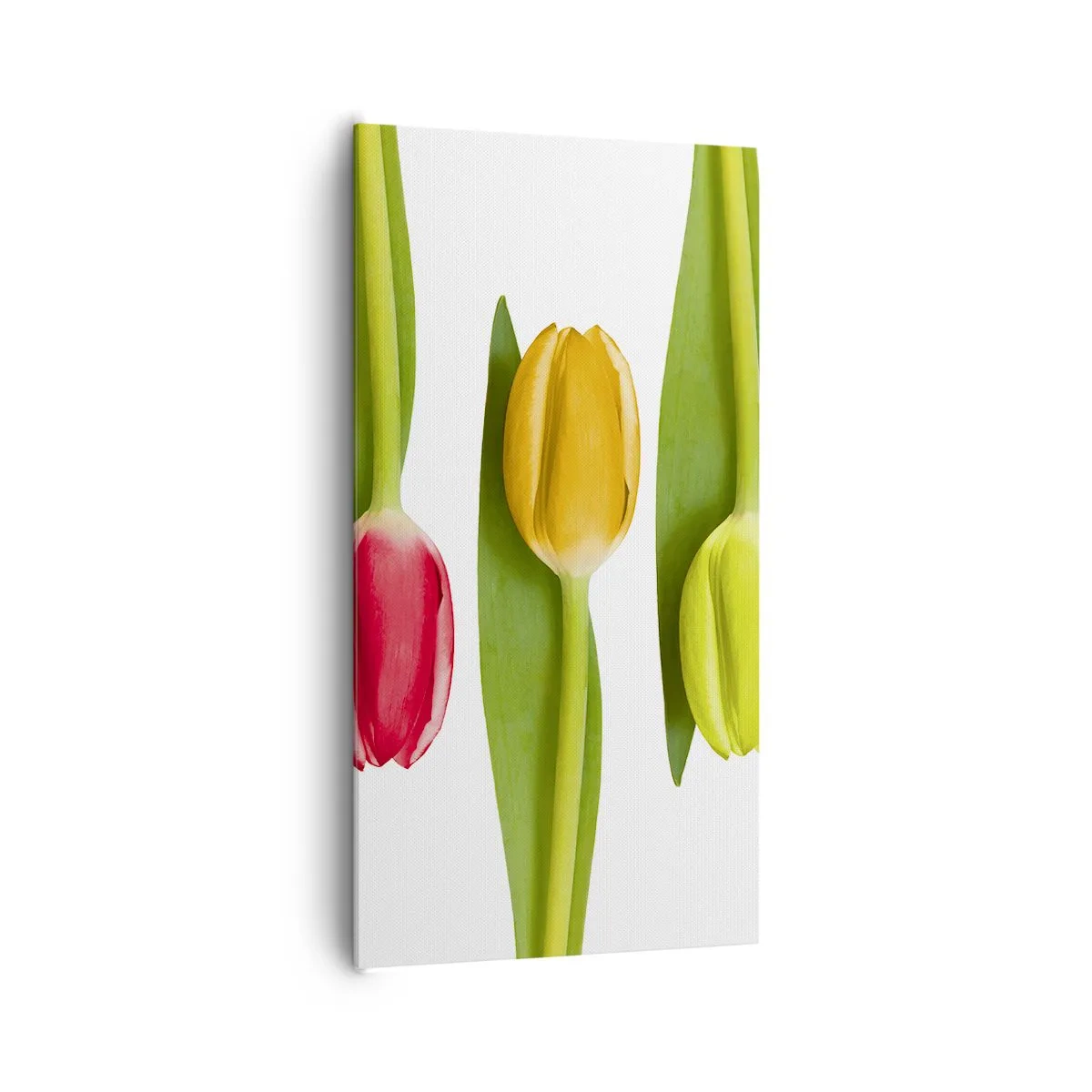 Quadro em tela - Composição arco-íris - 65x120 cm