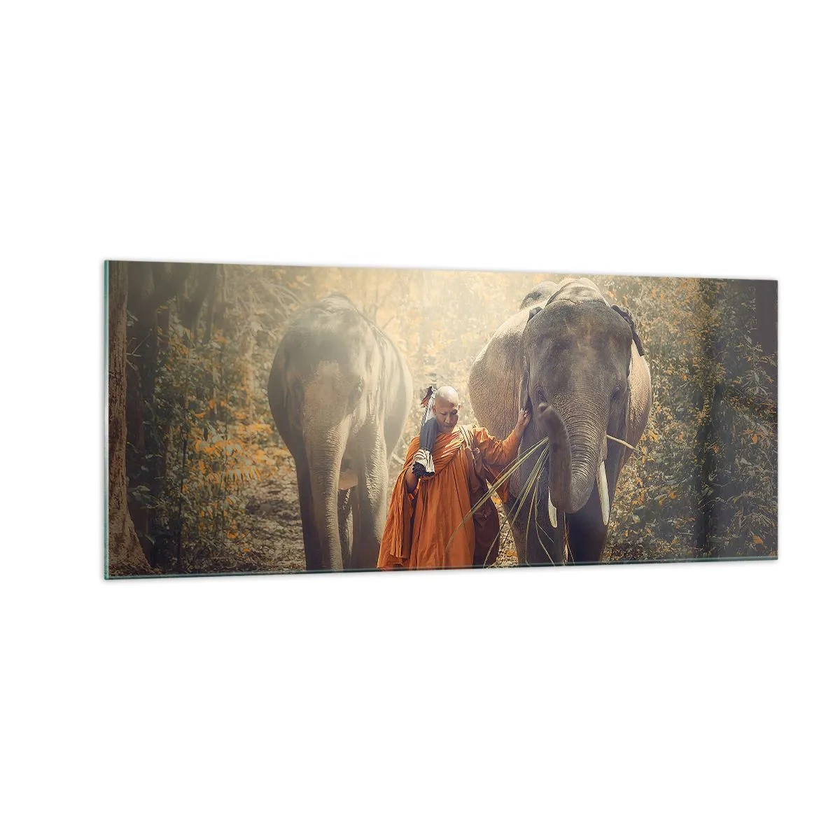 Quadro em vidro - Compreensão completa - 100x40 cm