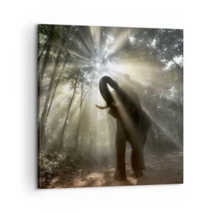 Quadro em tela - Sob a estrela da sorte - 60x60 cm