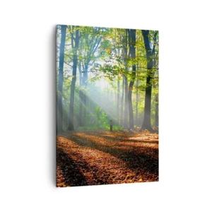 Quadro em tela - Luzes e sombras - 50x70 cm