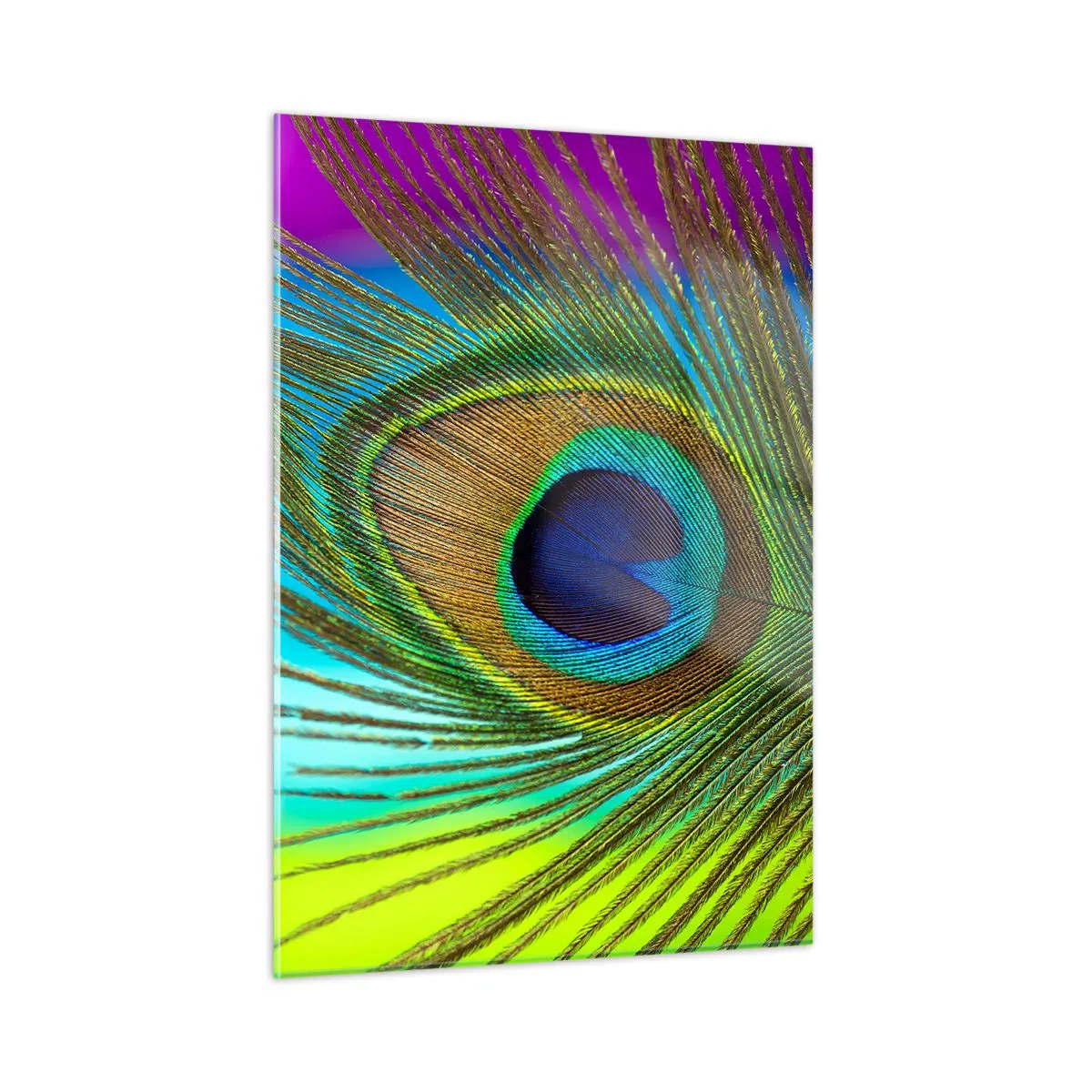Quadro em vidro - Olho no olho - 50x70 cm