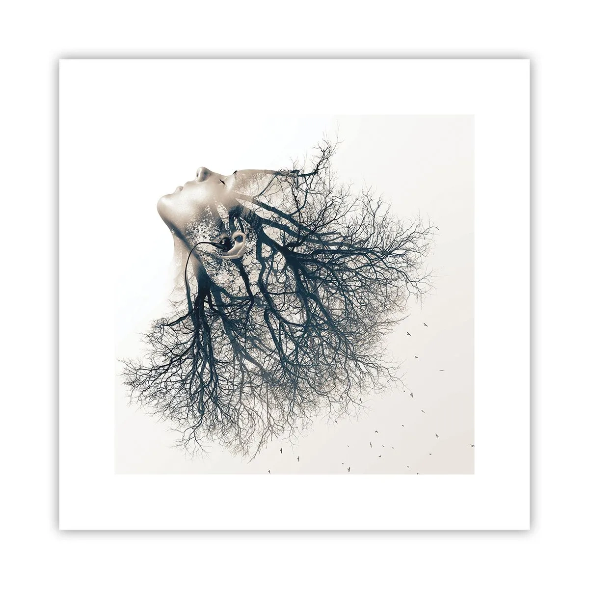 Pôster - Ouvir o sussurro da árvore - 30x30 cm