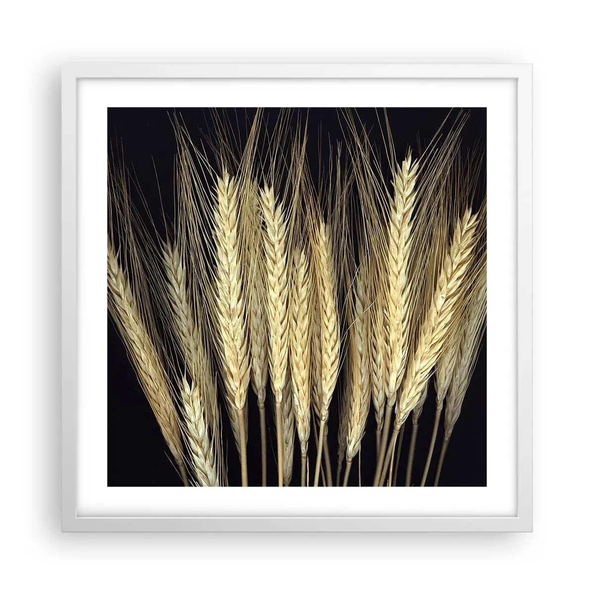 Pôster em moldura branca - Magia rústica - 50x50 cm