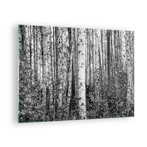 Quadro em vidro - Bétulas pretas e brancas criam uma paisagem florestal densa - 70x50cm - Colunata de bétula - Decoração de parede moderna para a sala de estar e quarto ARTTOR