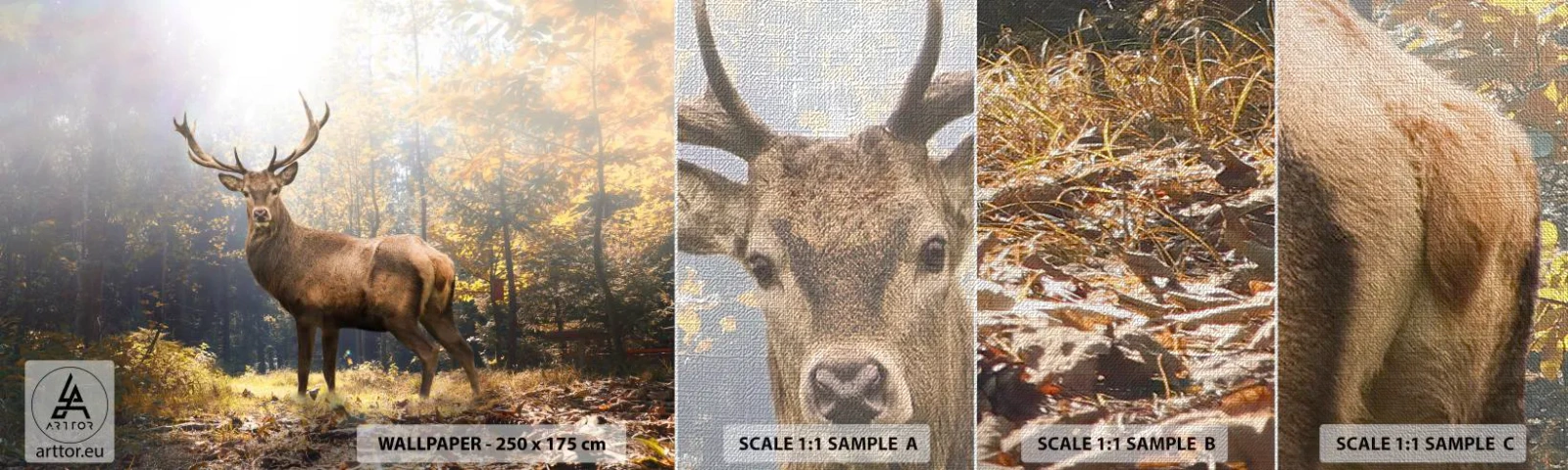 Amostra de papel de parede Premium Canvas - Em plena majestade - Paisagem, Cervo, Floresta - 100x30 cm