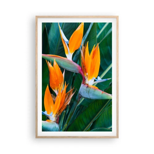 Pôster com moldura de carvalho claro - É uma flor ou é um pássaro? - 61x91 cm