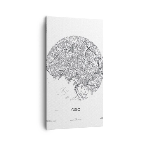 Quadro em tela - Anatomia de Oslo - 45x80 cm