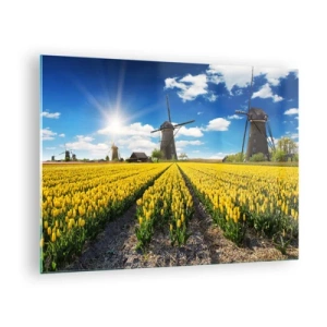 Quadro em vidro - Um campo de tulipas amarelas com moinhos de vento ao fundo em um dia ensolarado. - 70x50cm - Nada mais holandês do que isso - Decoração de parede moderna para a sala de estar e quarto ARTTOR