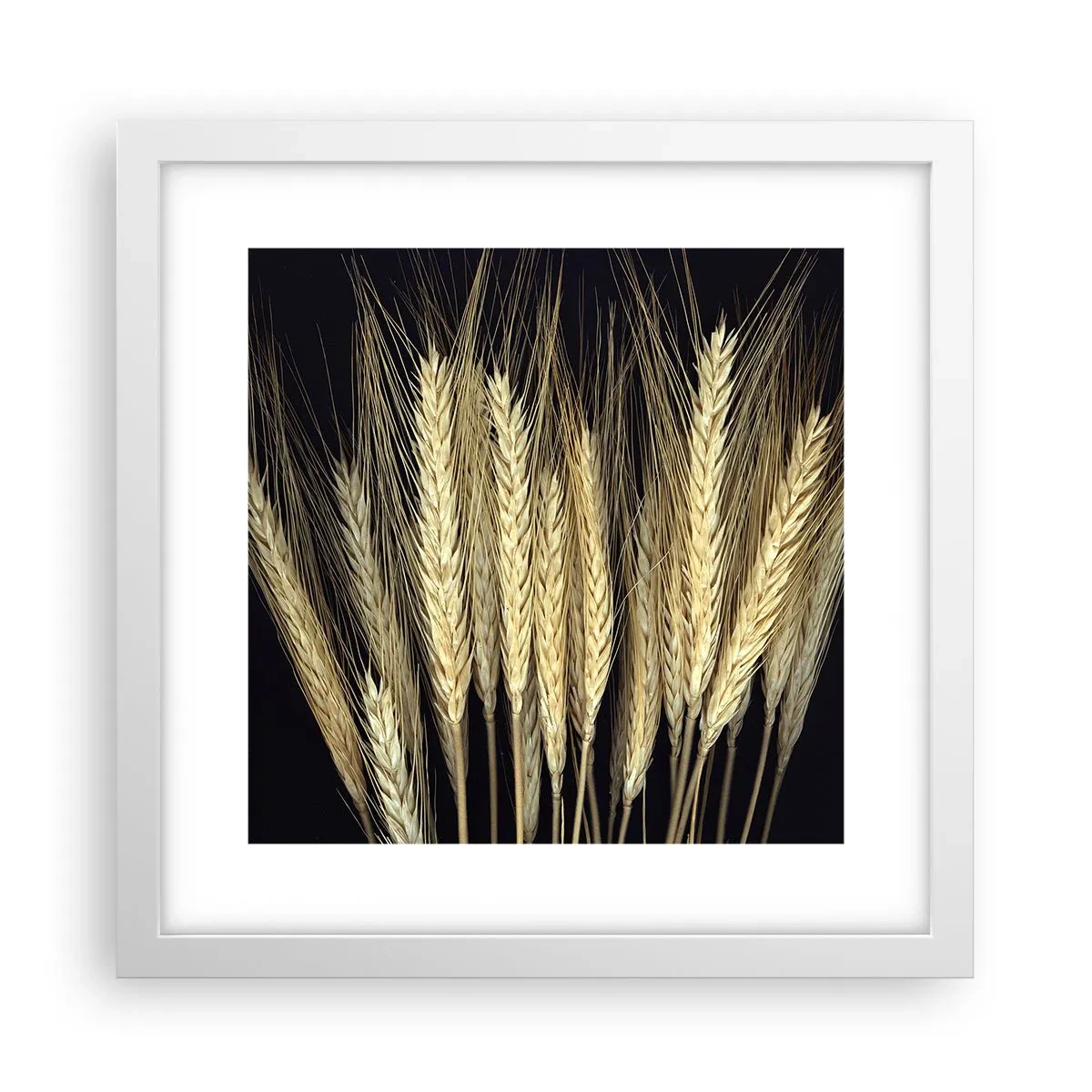 Pôster em moldura branca - Magia rústica - 30x30 cm