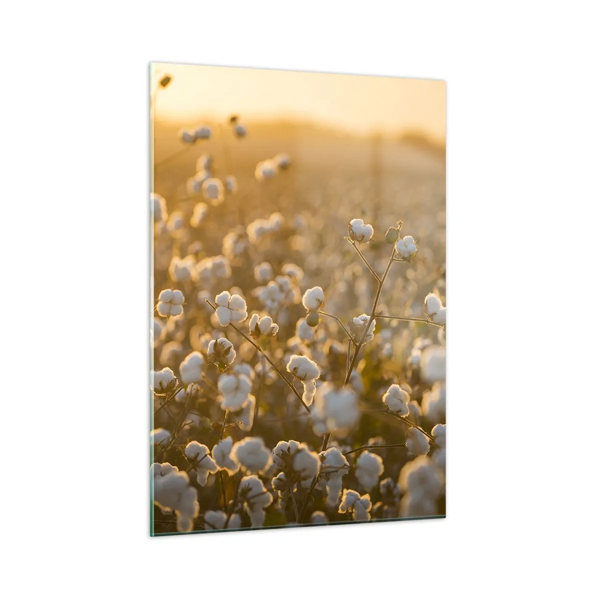 Quadro em vidro - Campo macio - 50x70 cm