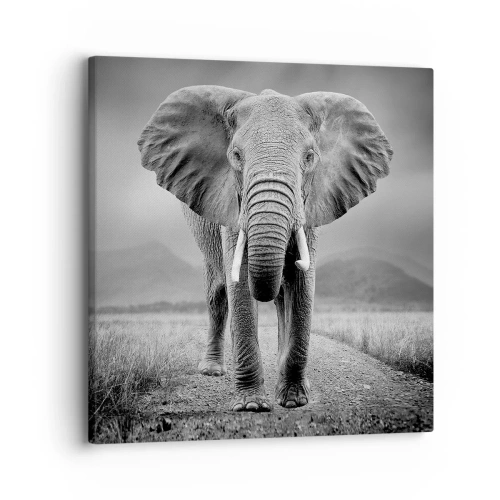 Quadro em tela - O anfitrião dá as boas-vindas - 30x30 cm