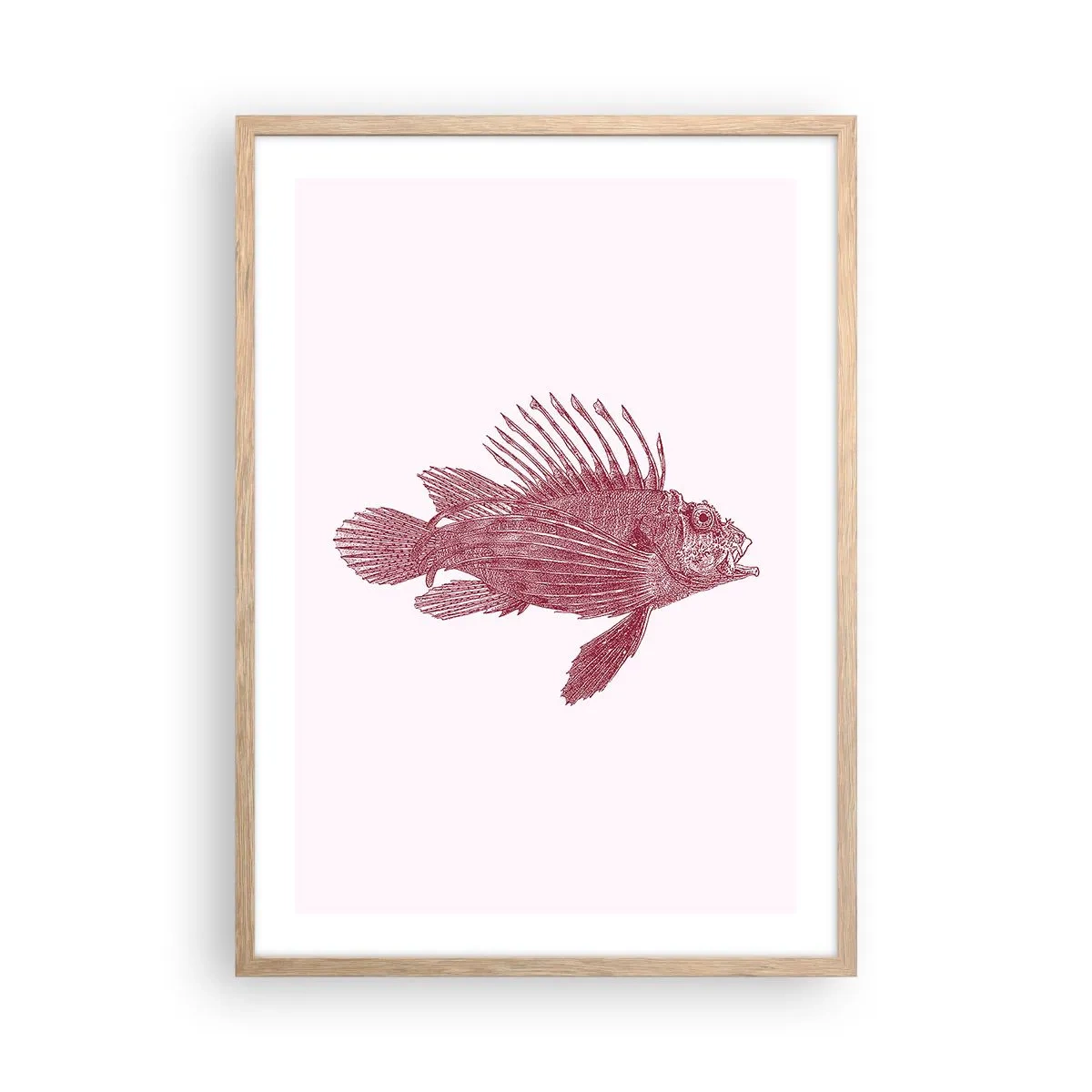 Pôster com moldura de carvalho claro - Um habitante de águas exóticas - 50x70 cm