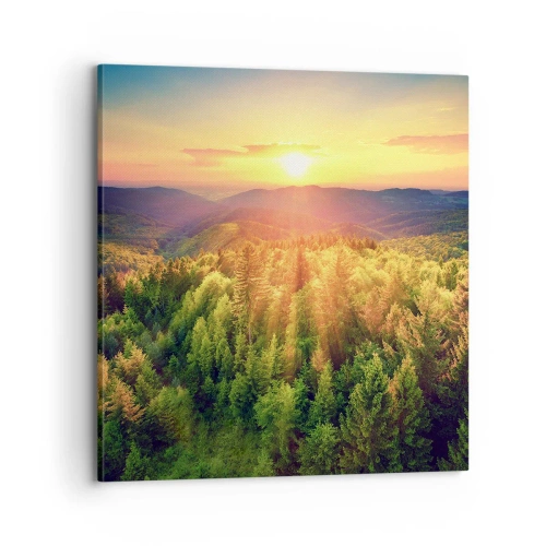 Quadro em tela - Picos e cumes - 70x70 cm