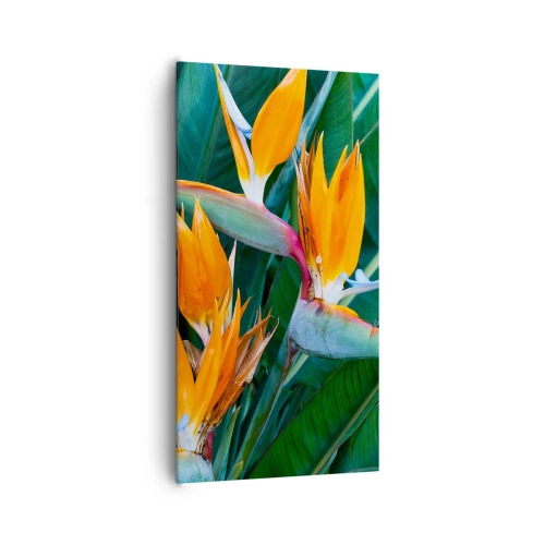 Quadro em tela - É uma flor ou é um pássaro? - 65x120 cm