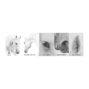 Amostra de papel de parede Premium Sand - Será amizade...? - Cavalos, Natureza, Animais - 100x30 cm