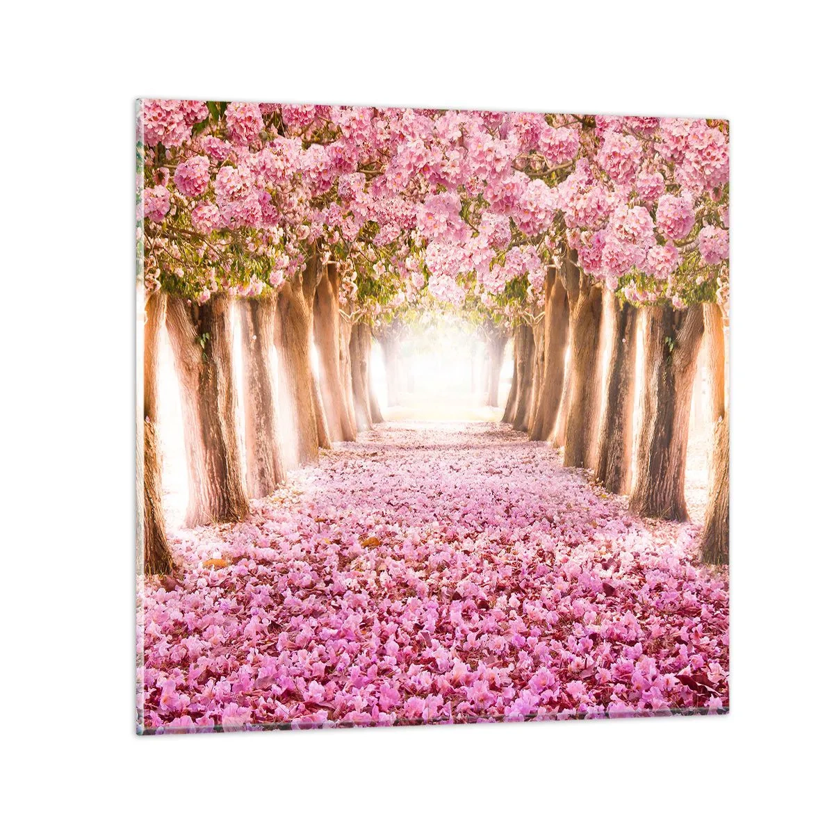 Quadro em vidro - O Caminho para o Paraíso - 50x50 cm