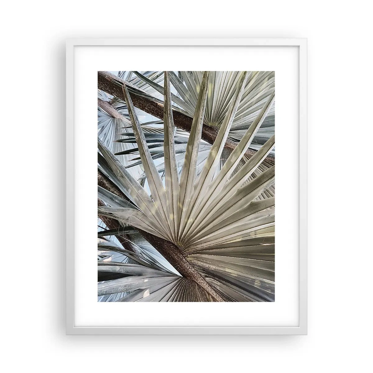 Pôster em moldura branca - Leques nos trópicos - 40x50 cm