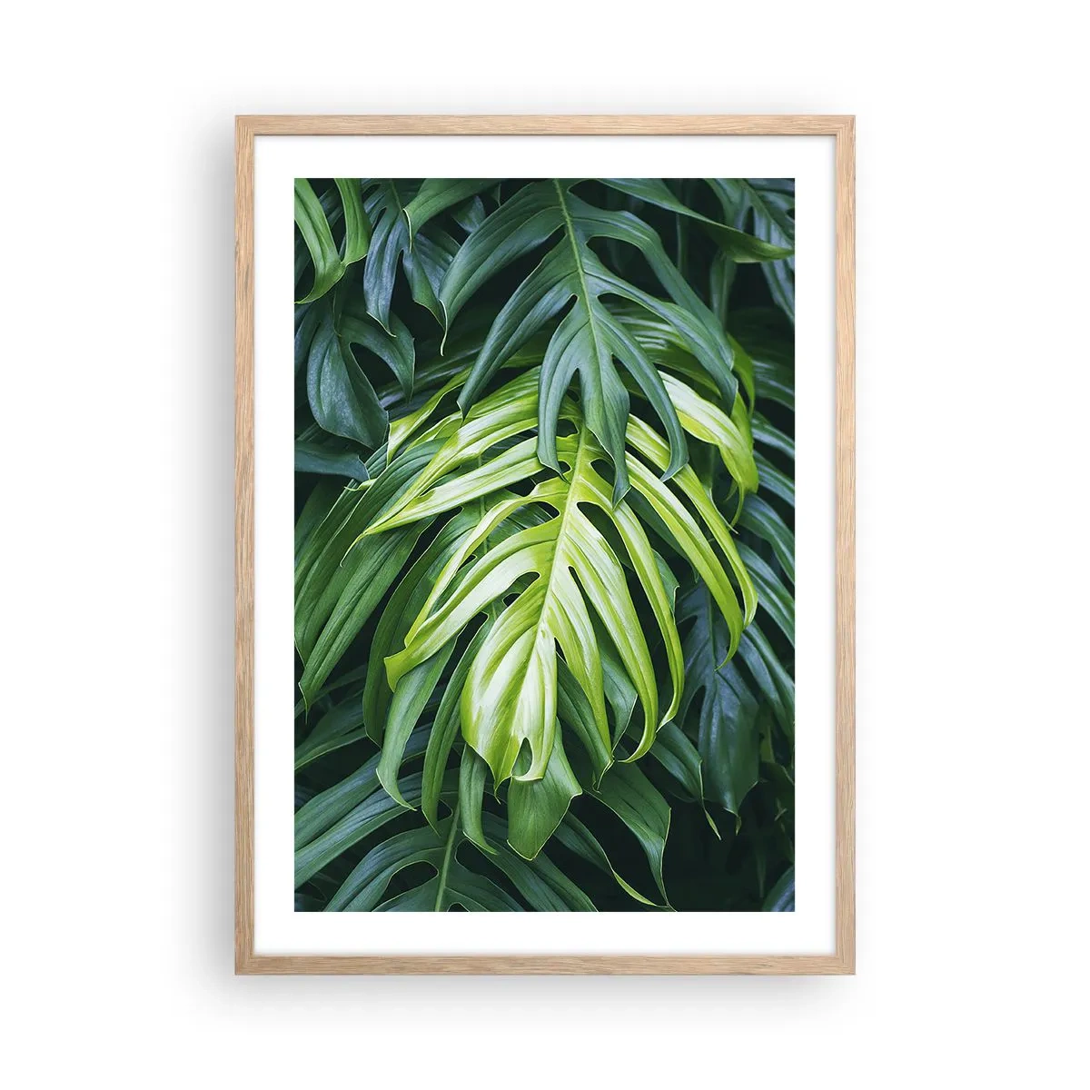 Pôster com moldura de carvalho claro - Mergulhar no frescor - 50x70 cm