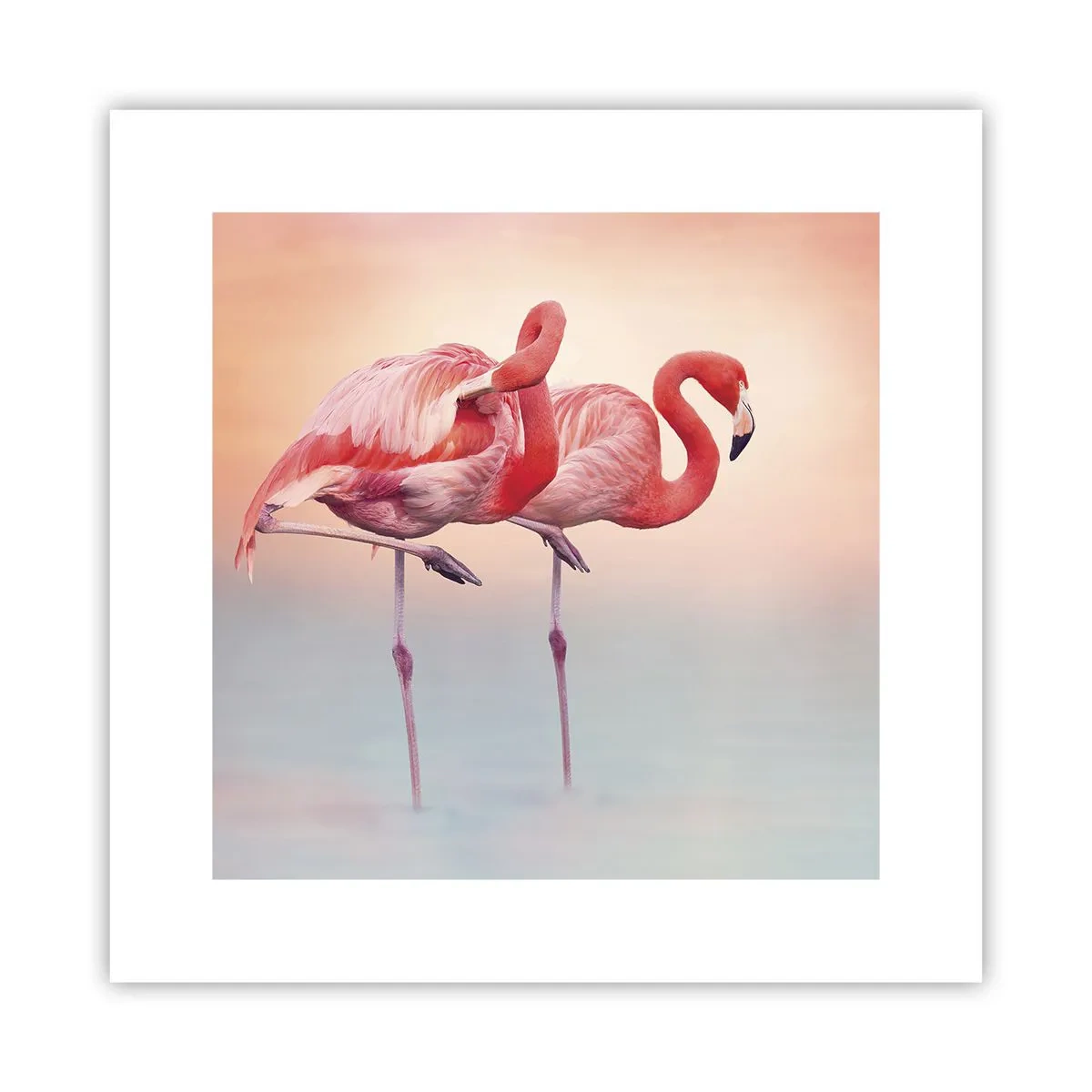 Pôster - Na cor do sol poente - 30x30 cm