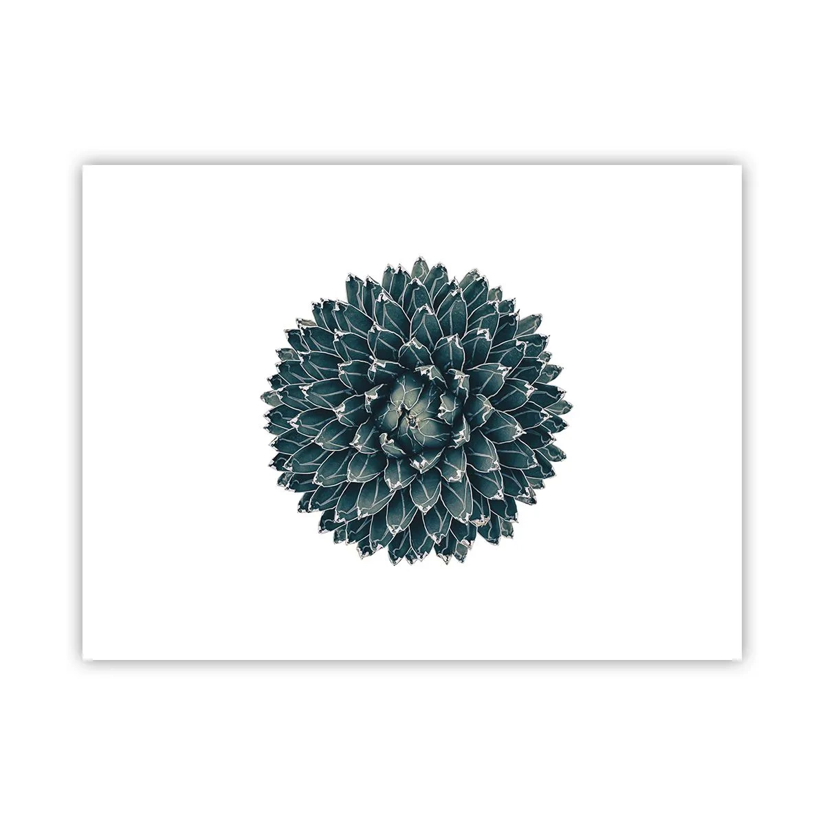 Pôster - Estrela do Deserto - 40x30 cm