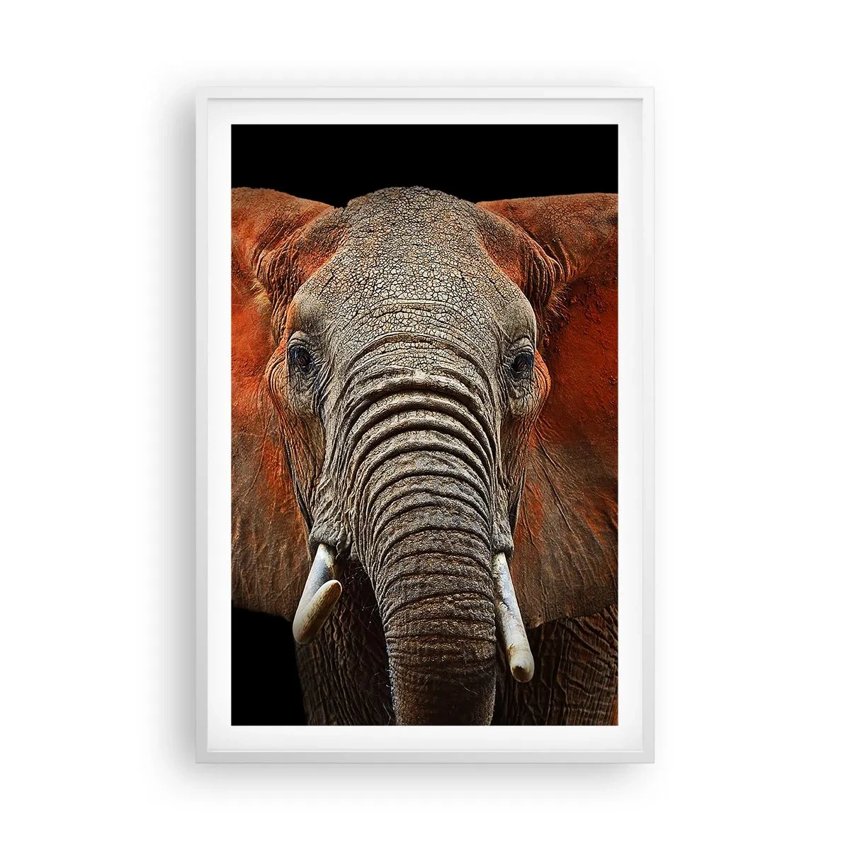 Pôster em moldura branca - Eu sou selvagem, e você? - 61x91 cm