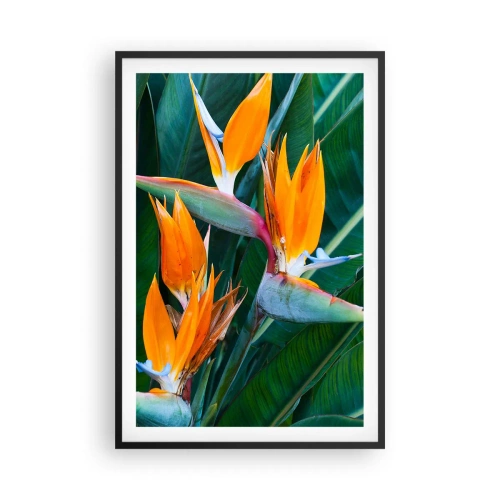 Pôster com moldura preta - É uma flor ou é um pássaro? - 61x91 cm