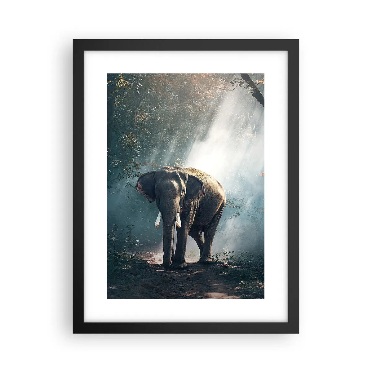 Pôster com moldura preta - Um passeio descontraído - 30x40 cm