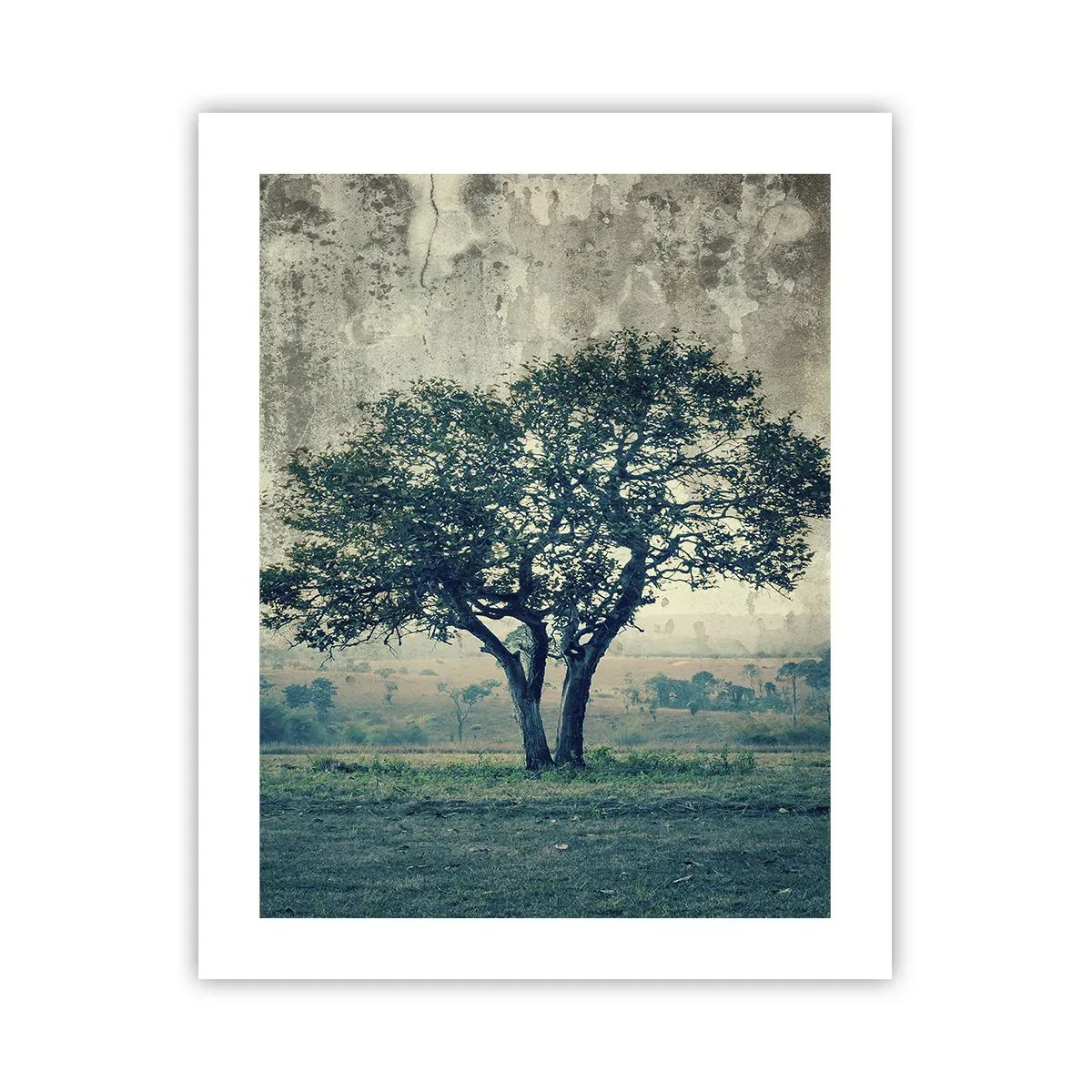 Pôster - Uma macieira num prado azul? - 40x50 cm