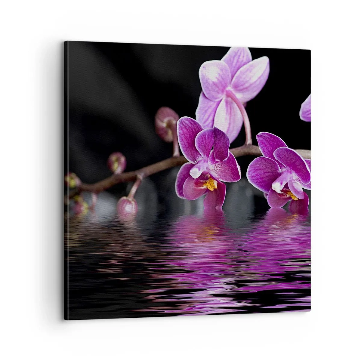 Quadro em tela - Reflexo lilás da beleza - 60x60 cm