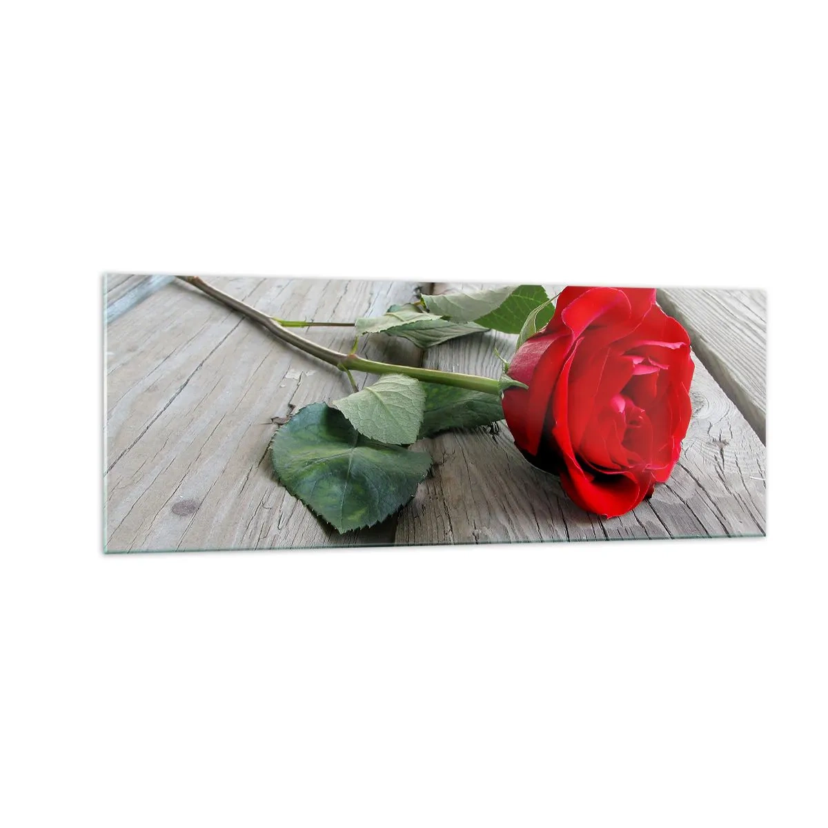 Quadro em vidro - Um estudo em vermelho - 140x50 cm