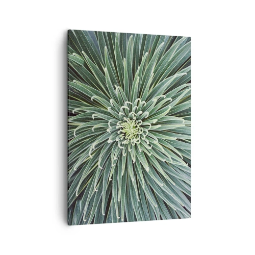 Quadro em tela - Nasce uma estrela - 50x70 cm