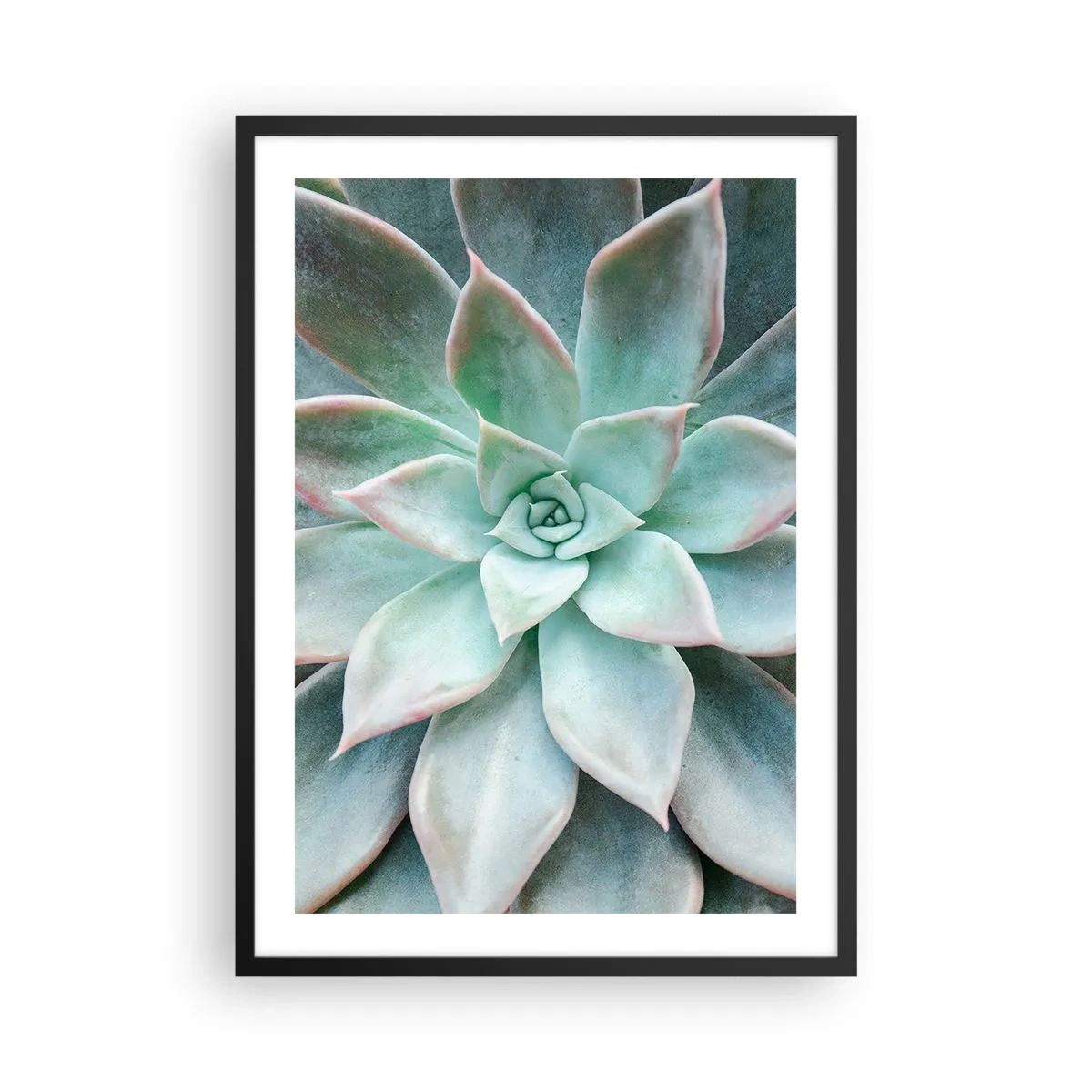 Pôster com moldura preta - Um close das folhas simétricas de uma suculenta em tons de verde. - 50x70cm - O coração do deserto - Decoração de parede moderna para a sala de estar e quarto ARTTOR