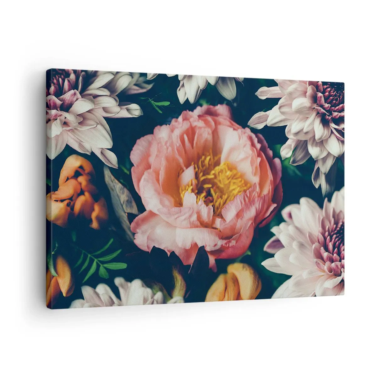 Quadro em tela - Arranjo floral com peônias e crisântemos sobre fundo escuro - 70x50cm - Com o esplendor barroco - Decoração de parede moderna para a sala de estar e quarto ARTTOR