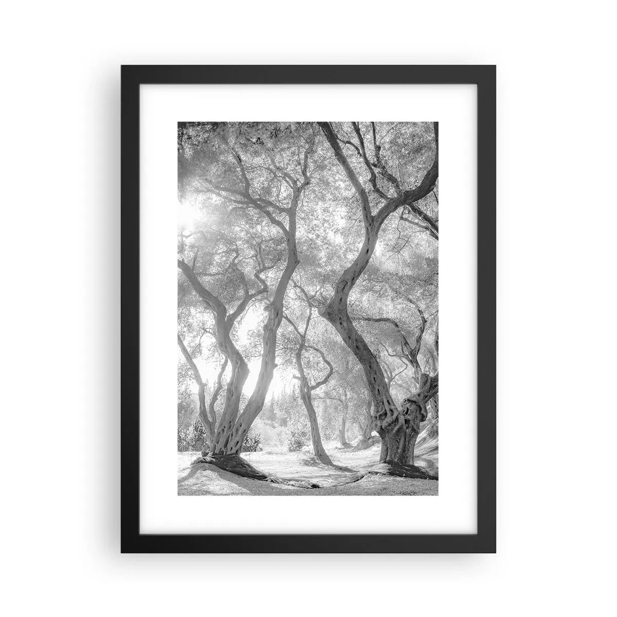Pôster com moldura preta - No olival - 30x40 cm