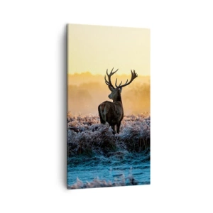 Quadro em tela - Coroado em sua terra - 45x80 cm