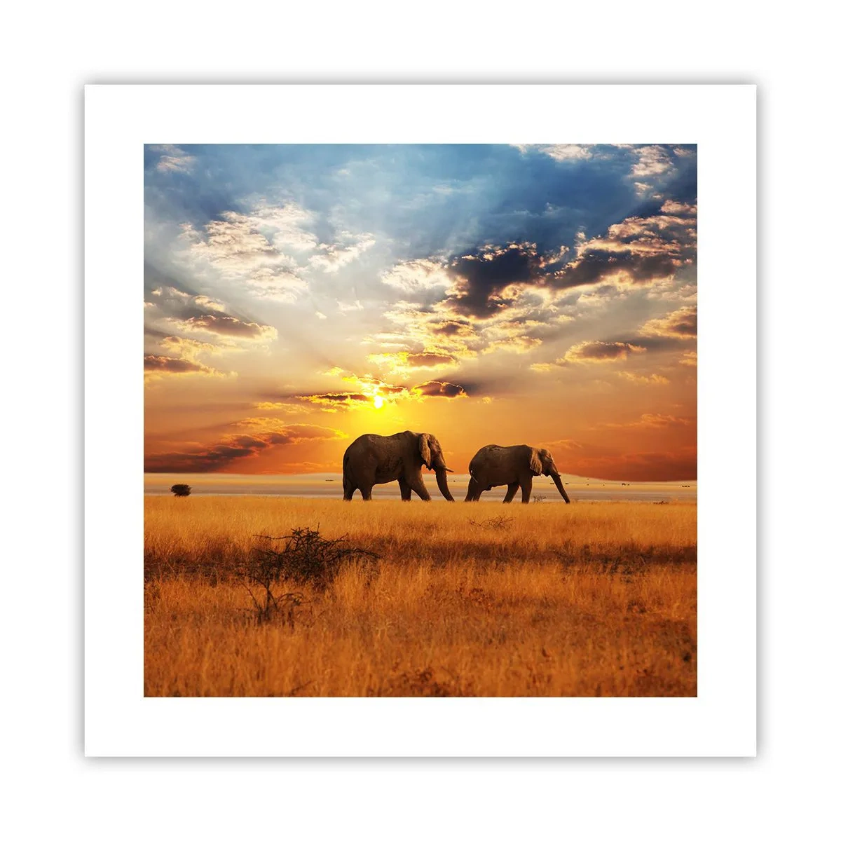 Pôster - Caminhada em família - 40x40 cm