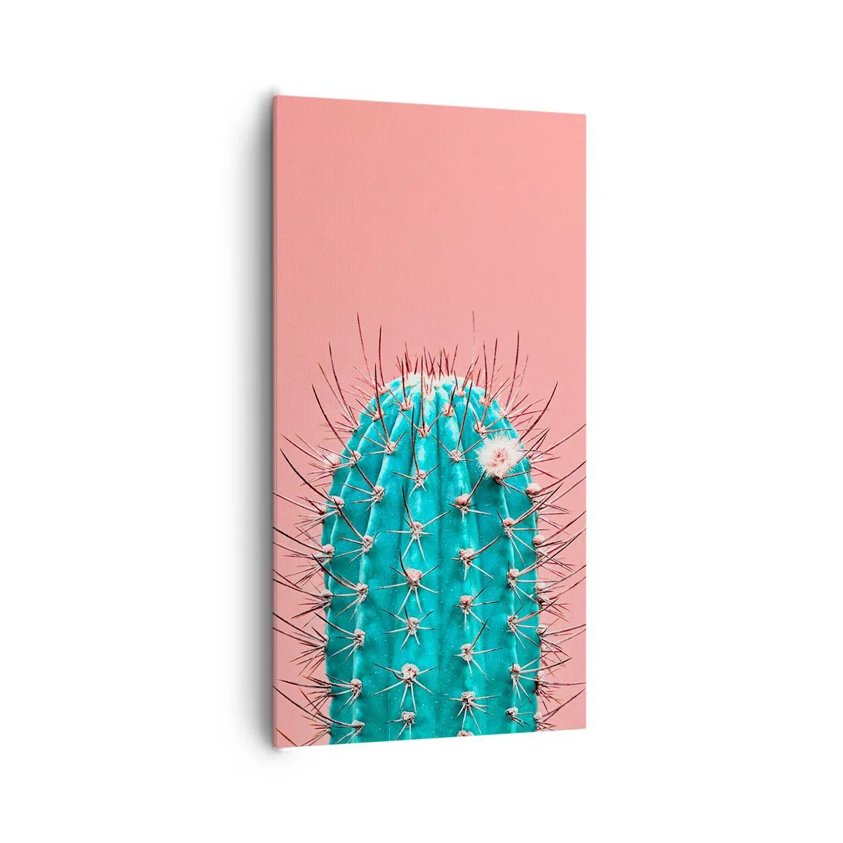 Quadro em tela - Apenas olhe - 65x120 cm