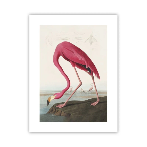 Pôster - Uma criatura surpreendente - 30x40 cm