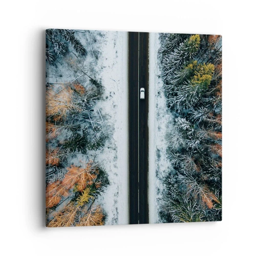 Quadro em tela - Cortar a floresta no inverno - 40x40 cm