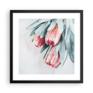 Pôster com moldura preta - Envergonhadas da sua própria beleza - 40x40 cm