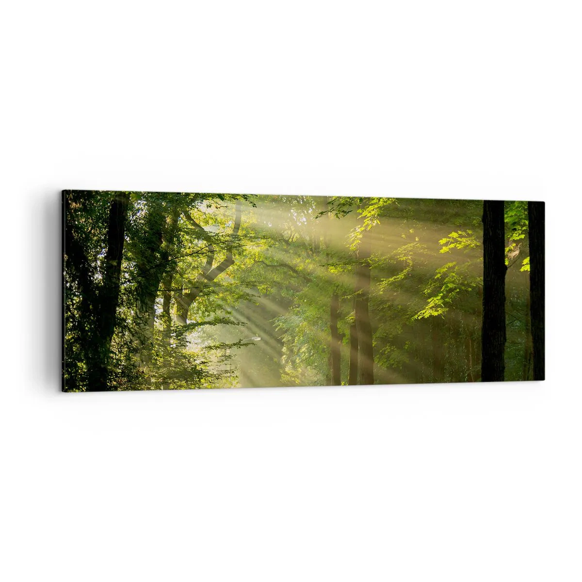 Quadro em tela - Momento florestal - 140x50 cm