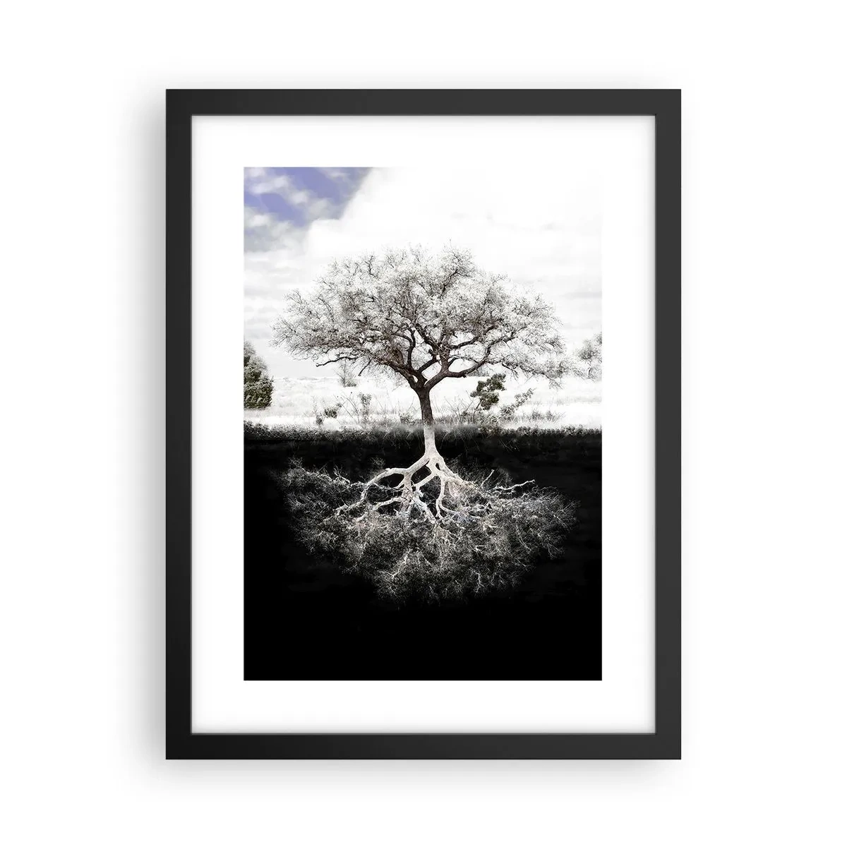 Pôster com moldura preta - Descobrir a natureza do mundo - 30x40 cm