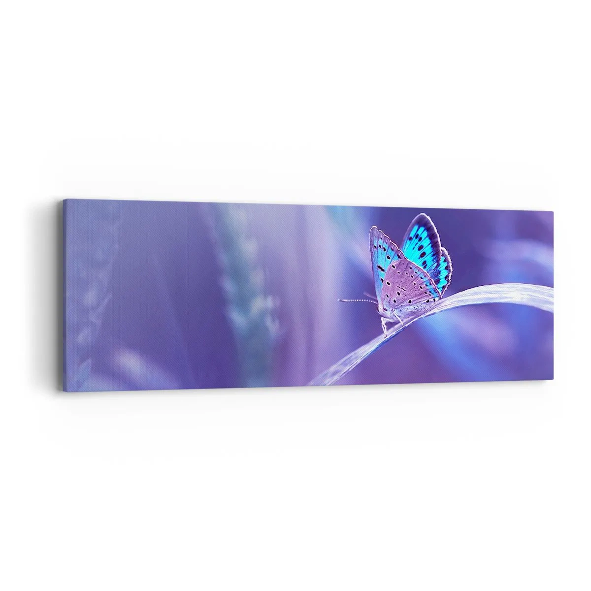 Quadro em tela - Uma joia da natureza - 90x30 cm